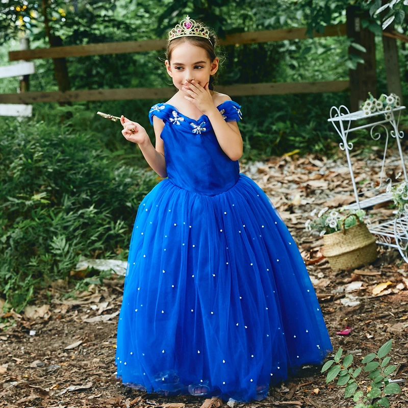 Cinderella Princess Dresses For Girls