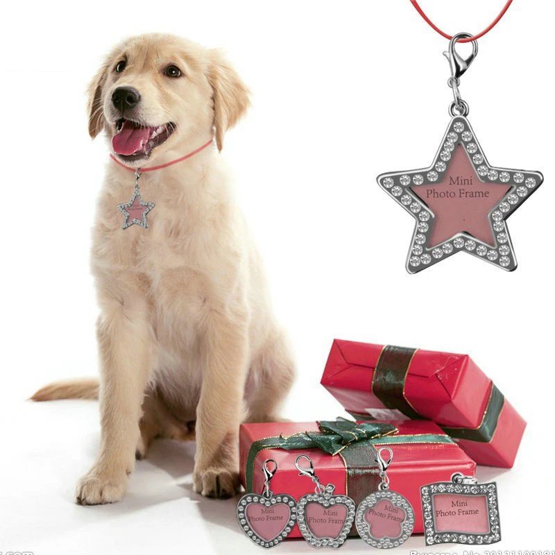 christmas gift personalized dog cat name tags pet identification tags jewelry crystal necklace pet product b171 in dog accessories from home garden on - Christmas Names For Cats christmas gift personalized dog cat name tags pet identification tags jewelry crystal necklace pet product b171 in dog accessories from home garden on - Christmas Names For Cats