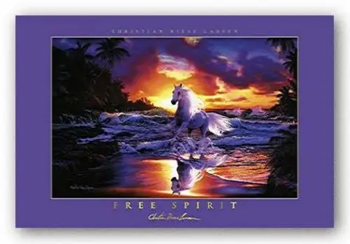 Free Spirit 28x18.25 Art Print Poster