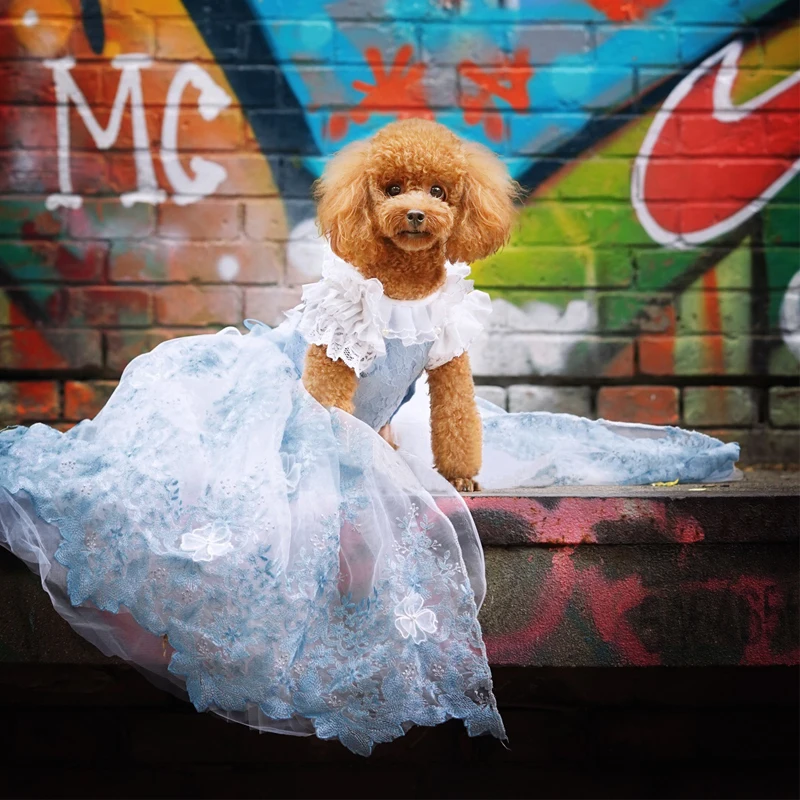 OnnPnnQ питомец собака, с кружевом, с Элитная одежда для маленькие собаки одежда принцессы благородный с длинным шлейфом для свадьбы платье-пачка щенков, чихуахуа