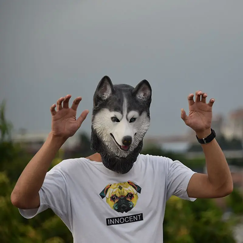 HTB1Y982SVXXXXXhXVXXq6xXFXXX1