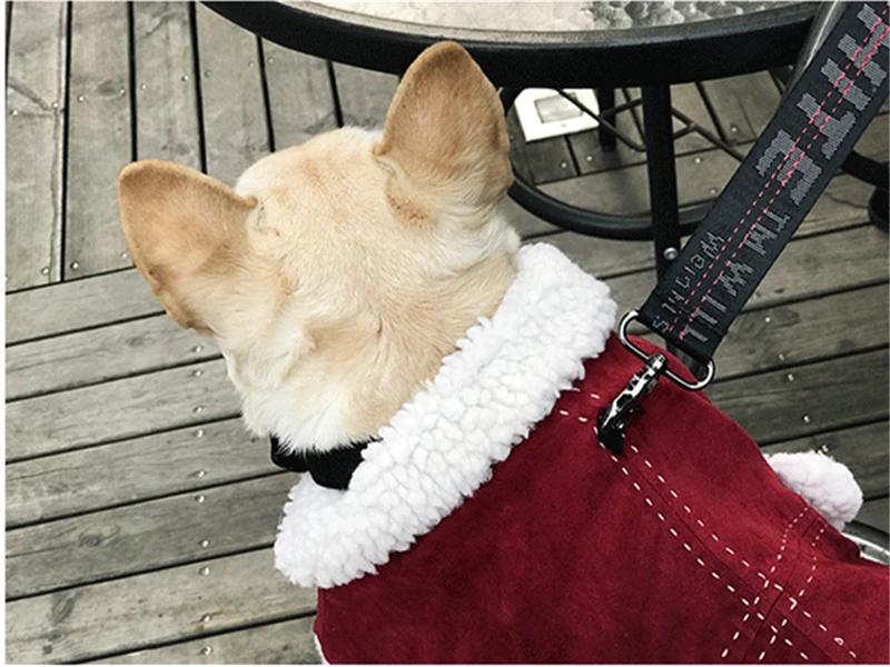 dog clothes coat winter (6)