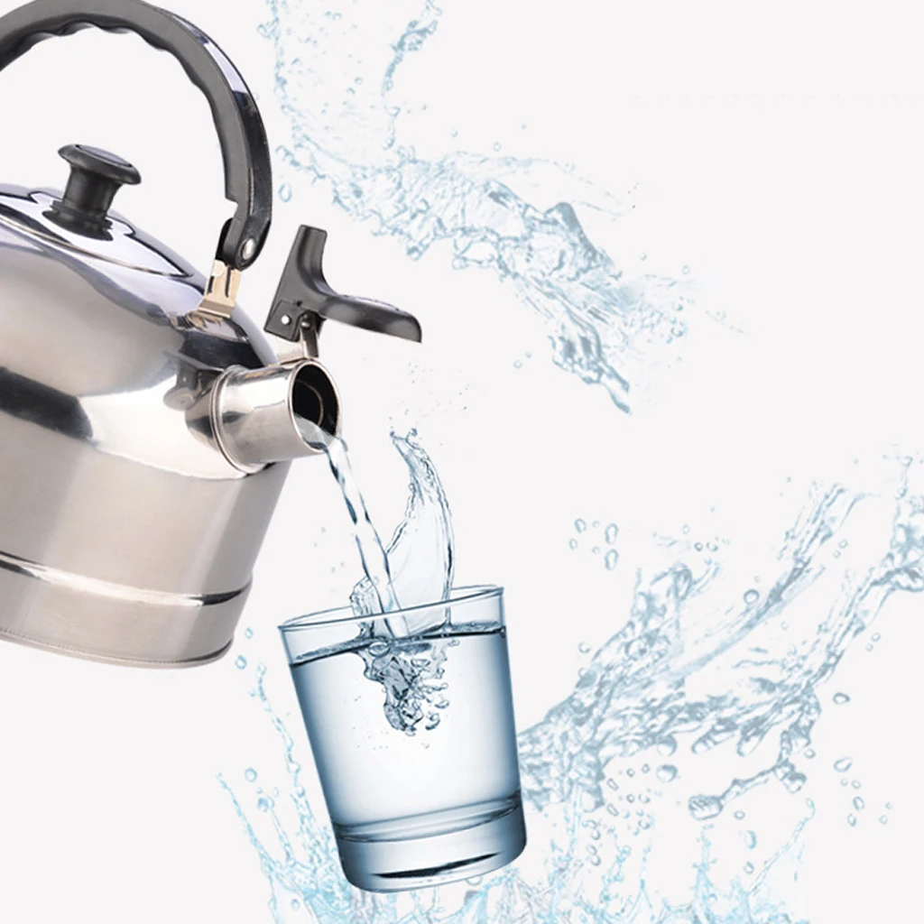 Outdoor Camping Stainless Steel Whistling Kettle Kitchen Tea Pot Silver 3L