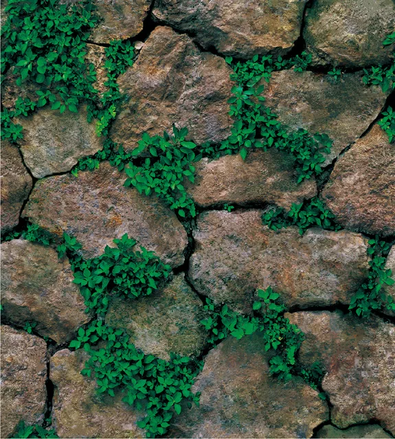 Image 13