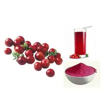 Cranberry Extract ,Cranberry Extract 100:1,Natural Cranberry Extract 200g hot sale