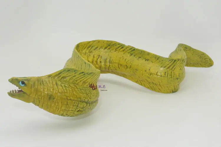 PL127-4854