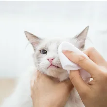 Pet Eye влажные салфетки кошка собака слеза пятно чистке уха для снятия нежный, не intivating чистящие салфетки Уход за лошадьми очистки Бумага полотенца