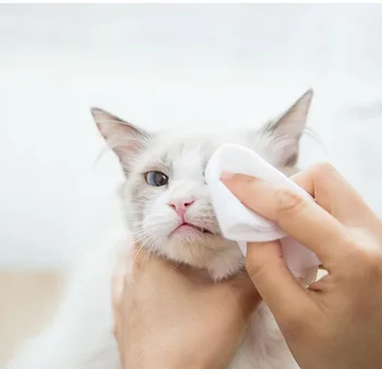 

Pet Eye Wet Wipes Cat Dog Tear Stain Clean Ear Remover Gentle Non-intivating Cleaning Wipes Grooming Cleaning Paper Towels