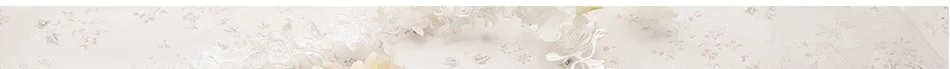 Underwear Women Briefs Sexy Women's Panties Full Transparent Lace Seamless Sexy Plus Size Women Cotton Underwear Panty 23