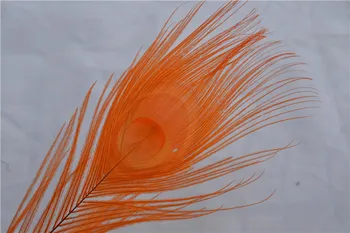 

100pcs orange 10-12inch peacock eye feather peacock tail feather for costumes design party supply wedding crafts decor