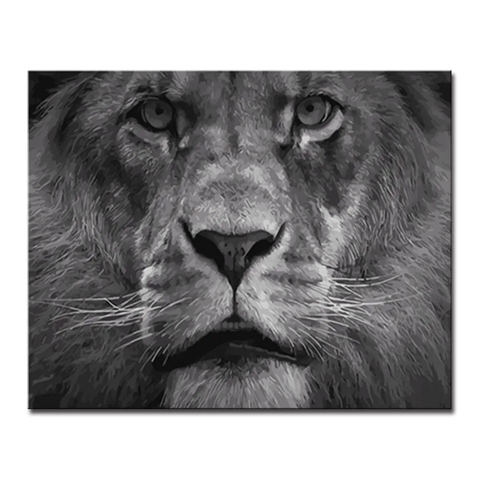 

Frame DIY Oil Painting By Numbers Kits Coloring Majestic Lion Canvas Pictures Abstract Drawing Animal Home Living Decor Wall Art