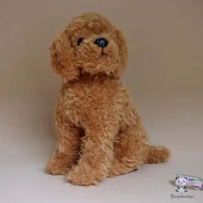 teddy dog puppy