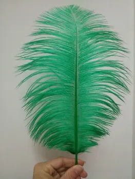 

Wholesale 50 pc high quality grass green ostrich feather 12-14inches / 30-35CM diy decorative vases / Accessories / Apparel