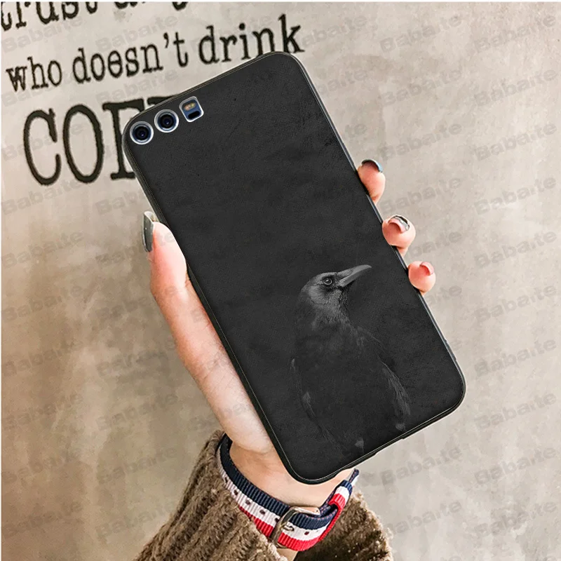 animal crow