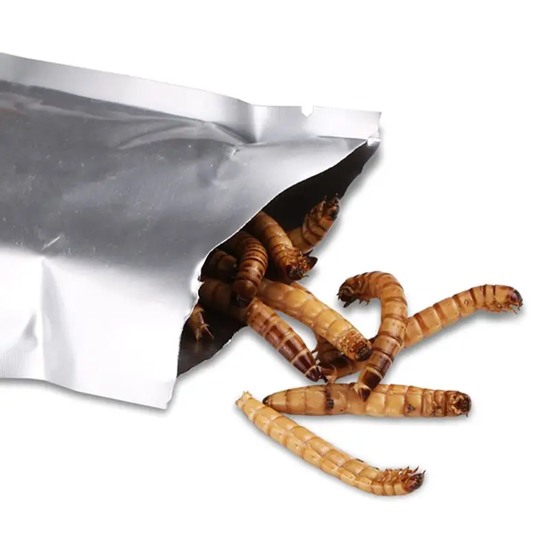140 г натуральный сушеный Mealworm корм для кормления домашних животных рептилий кур дикая садовая птица аквариум червь