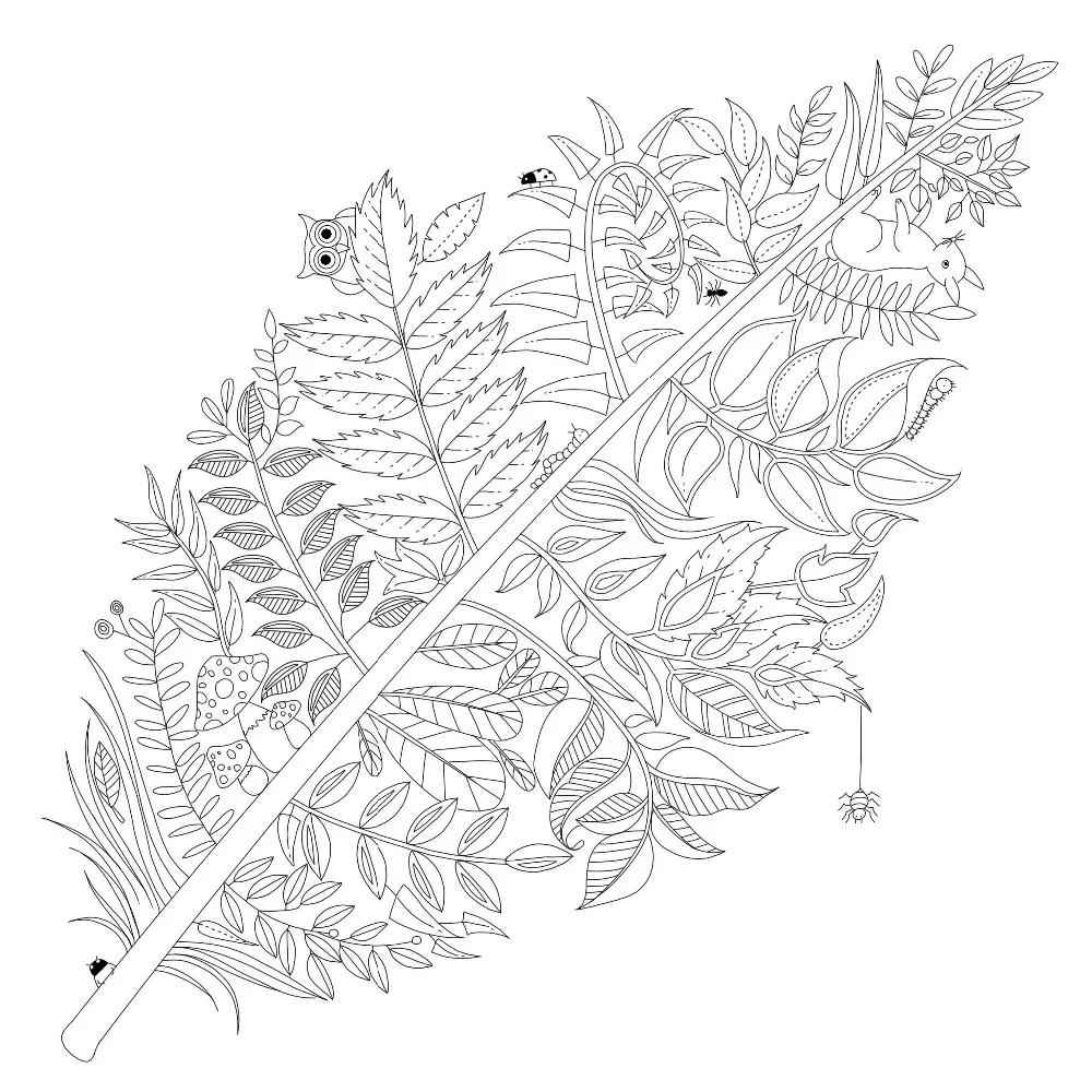 Эльфийский лес взрослая раскраска секретный сад раскраска книга стиль снять стресс убить время антистресс живопись раскраски книги