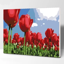 Роза море DIY картина по номерам ручная роспись маслом гостиная комнатное домашнее настенное украшение Роза Artwork40* 50 см