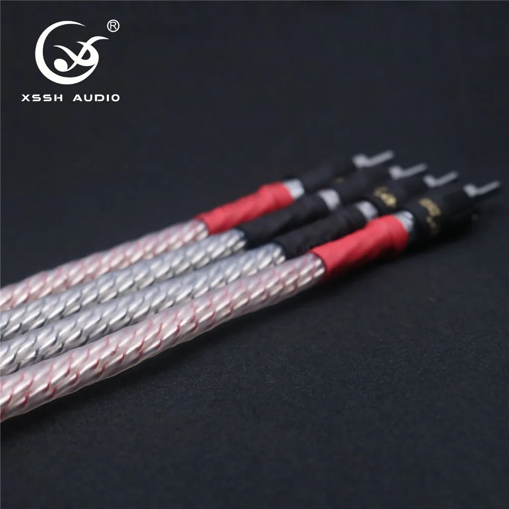 bi wire 08