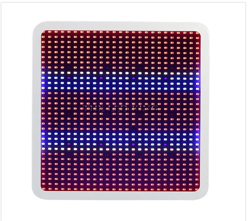 800W (10)