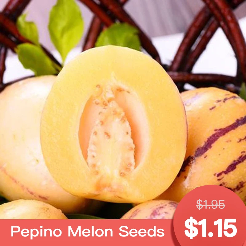 

50 pcs Pepino Melon Seedsplants Outdoor Yellow Fruit Seeding Plants Flower Bonsai Plant Seedlings For Sale Garden Decoration