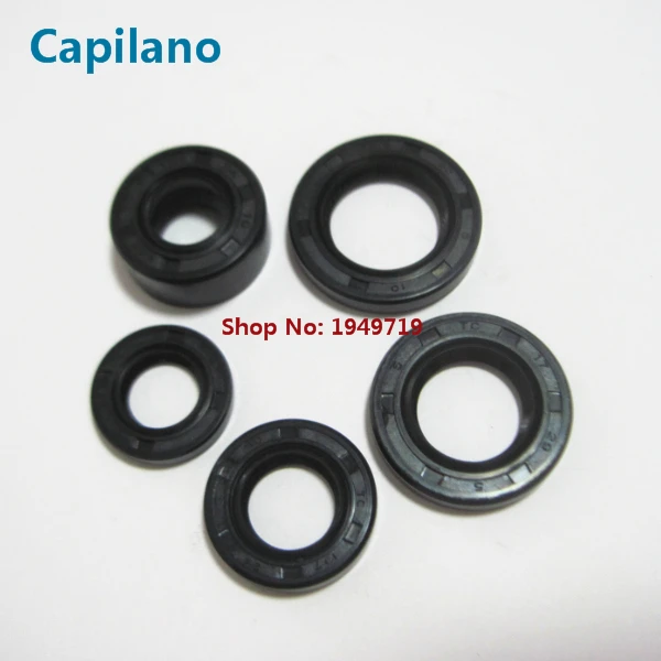DY100 oil seal (1)