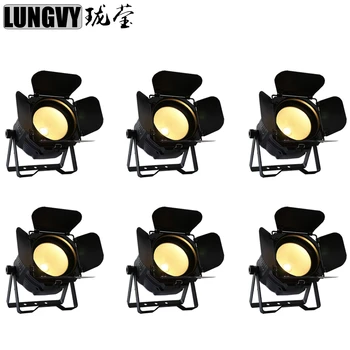 

Free Shipping 6pcs/Lot HOT Led COB Par Light 200W High Brightness Aluminium Case Colod White and Warm White Cob Led Par Light