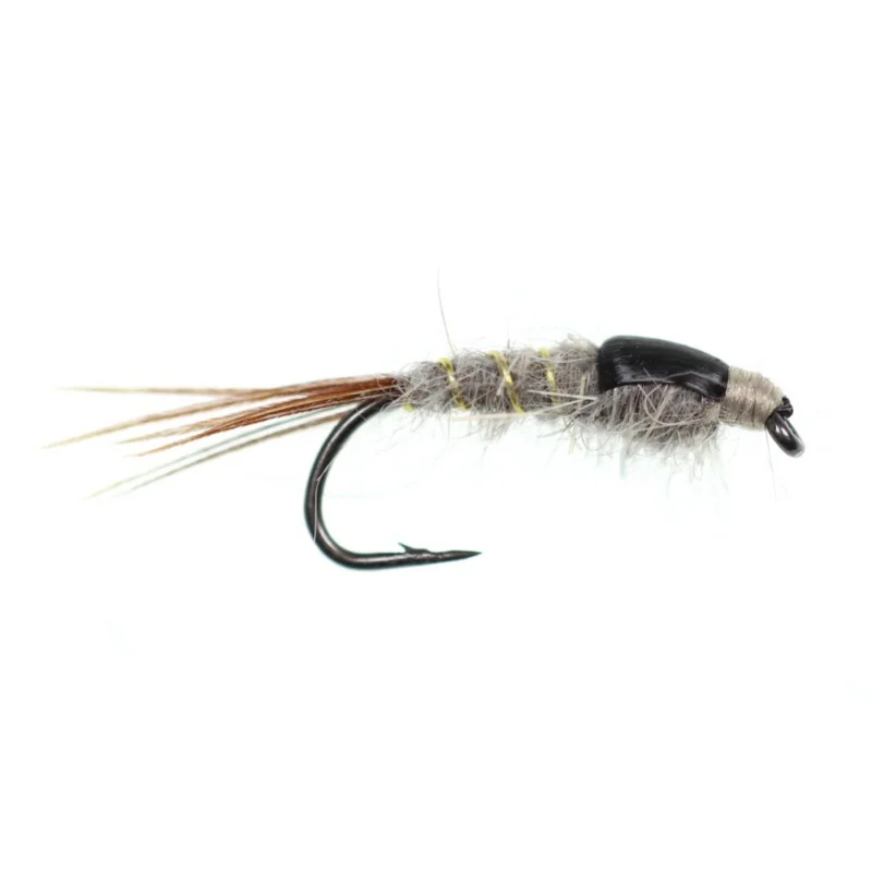 YK0184(5)