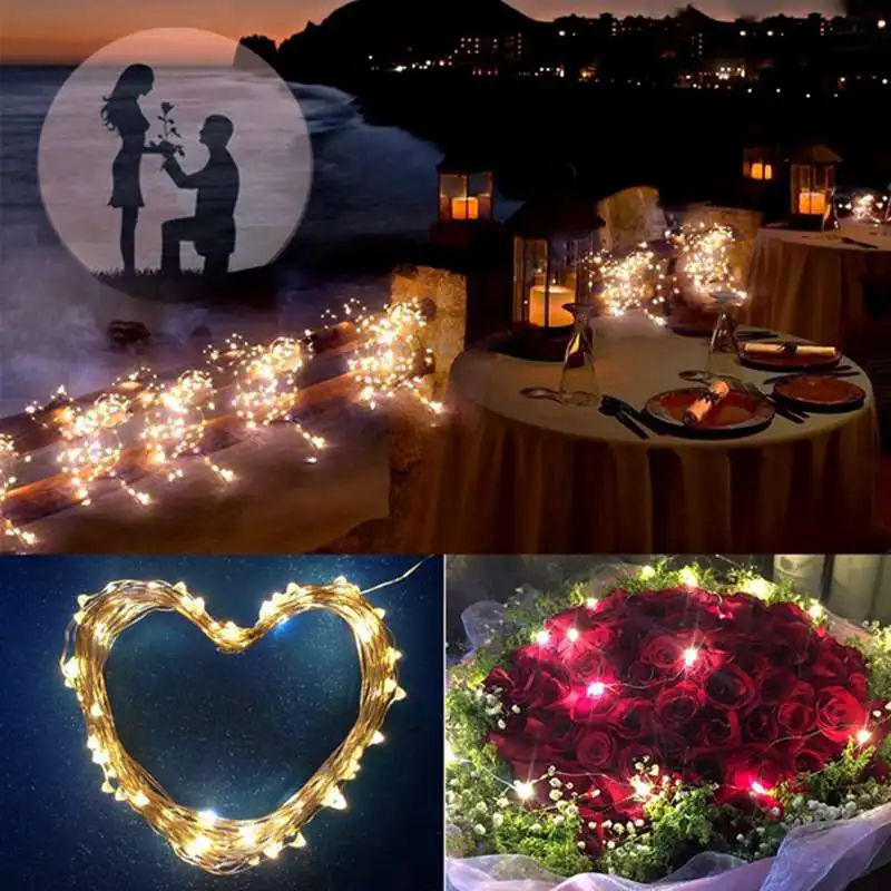 Contains power Waterproof 5m~50m DC12V Starry Outdoor Copper/Silver Wire Led String Light for Christmas Wedding decoration Contains power Waterproof 5m~50m DC12V Starry Outdoor Copper/Silver Wire Led String Light for Christmas Wedding decoration