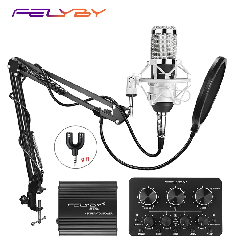 Professional BM800 microphone webcast recording