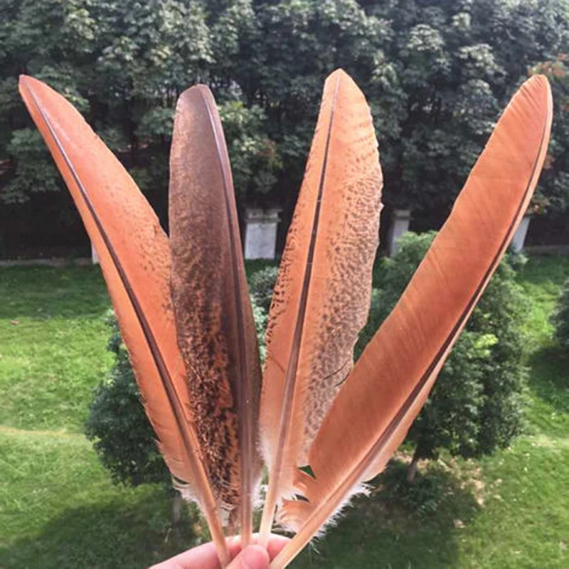 

New 10 PCS beautiful peacock feathers 14-16 inches 35-40cm feather knife