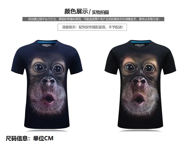 8982093235_990353597