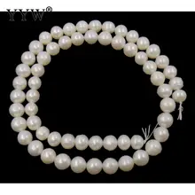 2019 nova venda quente cultivada redonda pérolas de água doce pérolas naturais 7-8mm aproximadamente 0.8mm vendidos por 15 Polegada strand