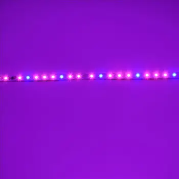 

New arrival directory connect 220V mix color 660nm & 440nm led plant grow light board free shipping