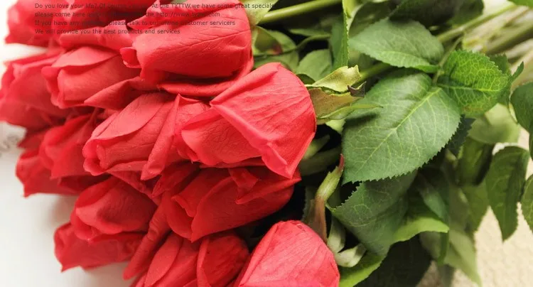 T2VH8lXbtOXXXXXXXX_!!22432034