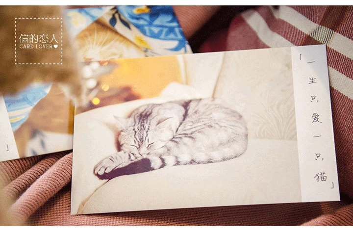 60 шт./лот Набор открыток для милых кошек/рождественские поздравительные открытки Мультяшные подарочные открытки на день рождения YH-1113