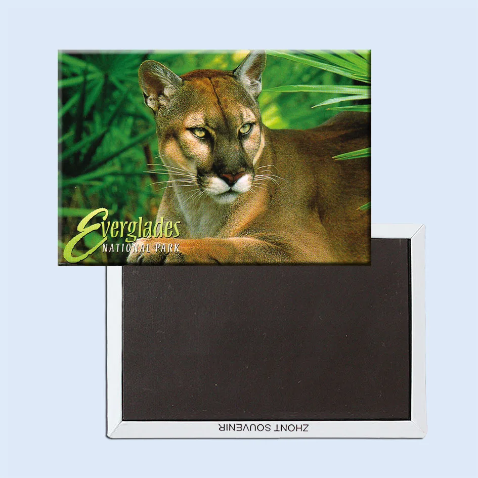 Florida panthers Everglades национальные парковые магниты 21539