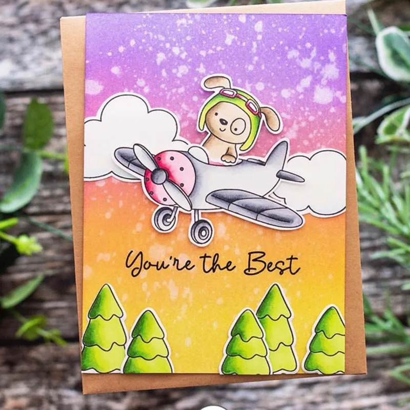 IMG_4286