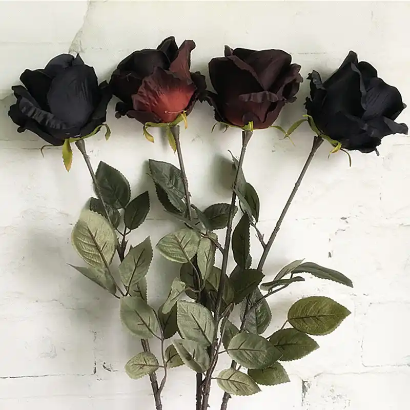 Featured image of post Blumen Hintergrund Schwarz Rosa es m sste immer musik da sein