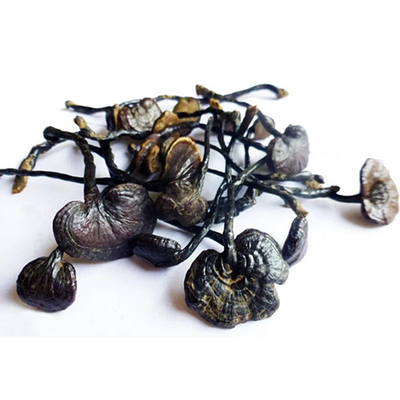 1000g Dried Wild Lingzhi Reishi Mushrooms Ganoderma Lucidum Top Grade Chinese Long Leg Natural Anti-cancer Herbal Tea H2016-35 |