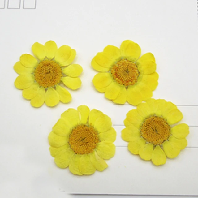 

Wholesale Decor for home Yellow Chrysanthemum Framed Pressed Flowers free shipment 120pcs