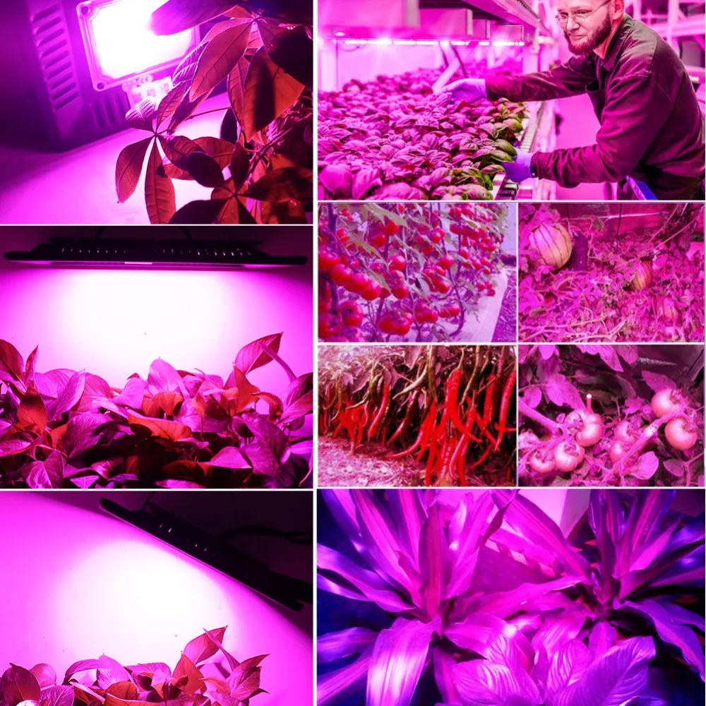Дешевый парниковый гидропоник 50 Вт/100 Вт/150 Вт Светодиодный светильник для роста растений полный спектр комнатный барный растительный светильник