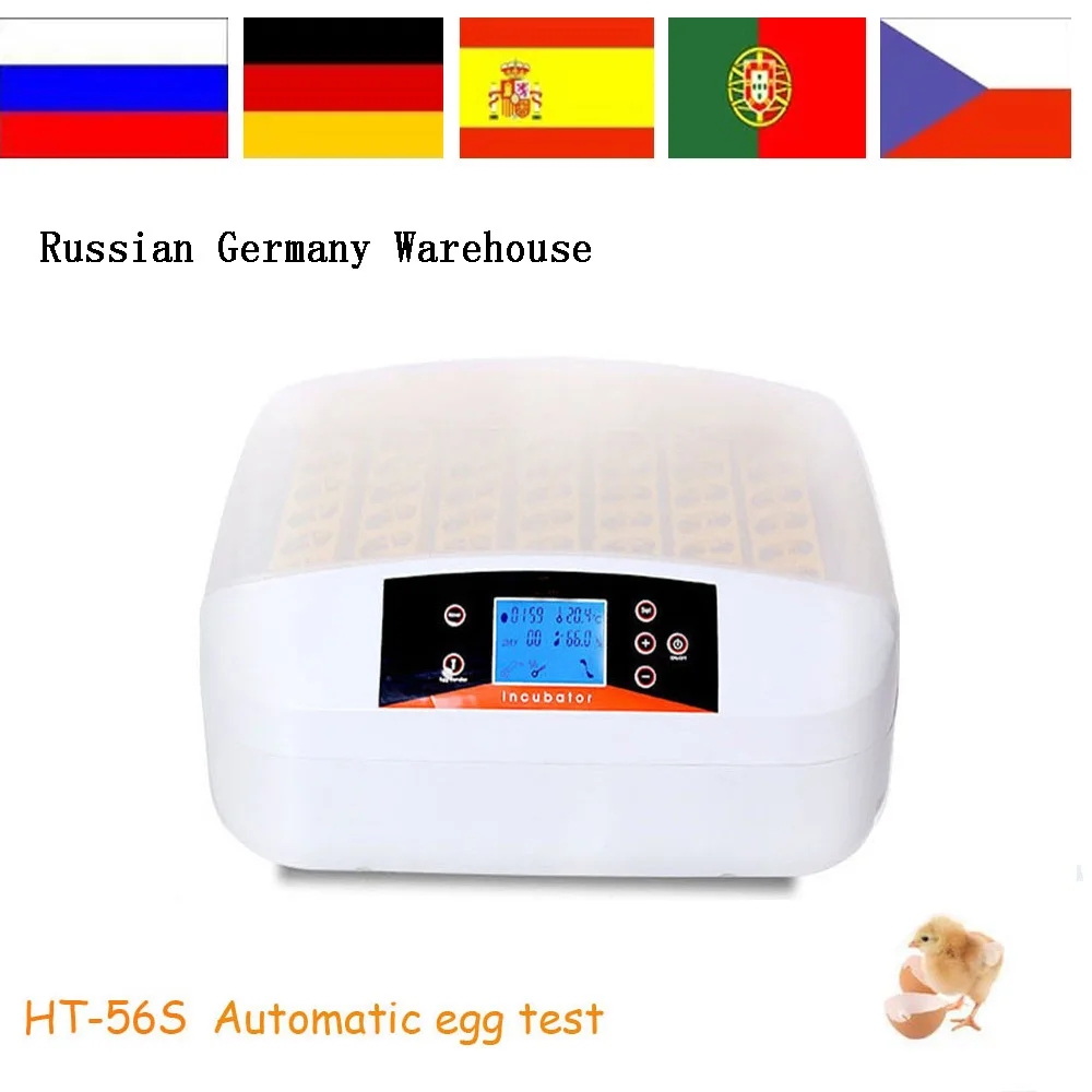 

New arrival 110/220V mini 56 egg incubator with one key egg test on sale