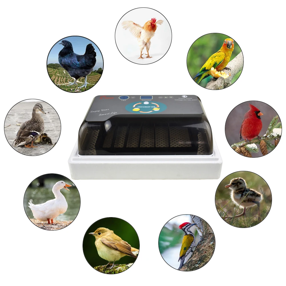 Automatic Intelligent Digital Egg Incubator Hatcher Large Capacity Practical Incubators for Chicken Poultry Quail Eggs Home Use Automatic Intelligent Digital Egg Incubator Hatcher Large Capacity Practical Incubators for Chicken Poultry Quail Eggs Home Use
