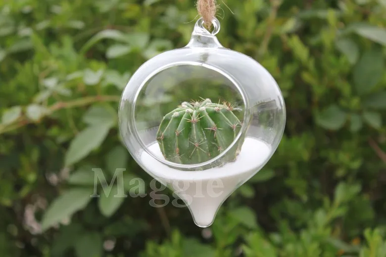 T2yz3XXhBaXXXXXXXX_!!97110290