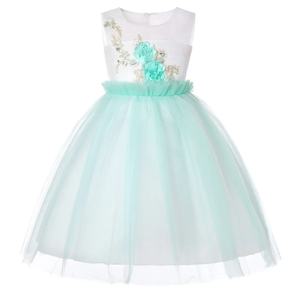

Embroidered Formal Princess Dress for Girl Elegant Birthday Party Dress Girl Dress Baby Girl Christmas Clothes