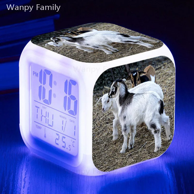 商标9