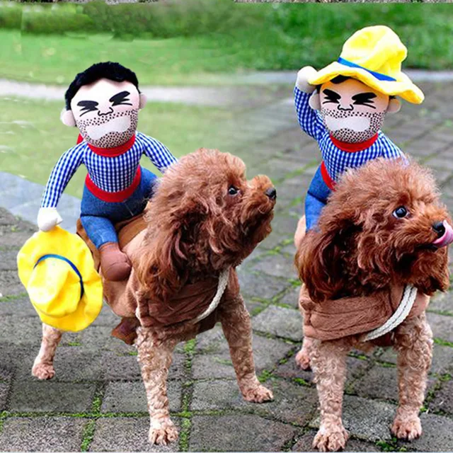 Buy Funny Pet Horse Riding Dog Costume Rider Dressing