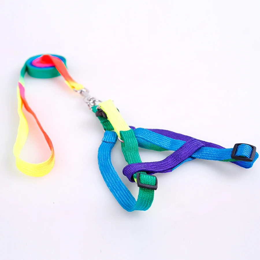 

Rainbow Color Dog Harness Nylon Training Dog Leash Collar Rope Fleas Mascotas Labrador Lead Harnais Chien Pet Supplies 70M0331