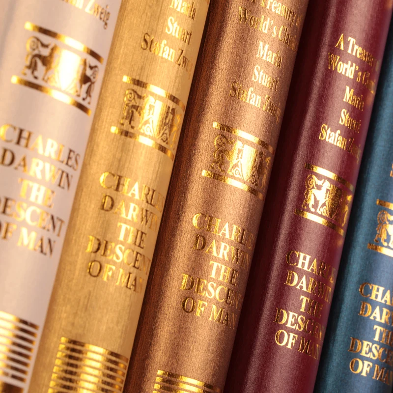 10 قطعة كتاب مكتبة وهمية خزانة التصوير الدعائم محاكاة داروين oumina الأوروبية مربع قالب كتاب الديكور