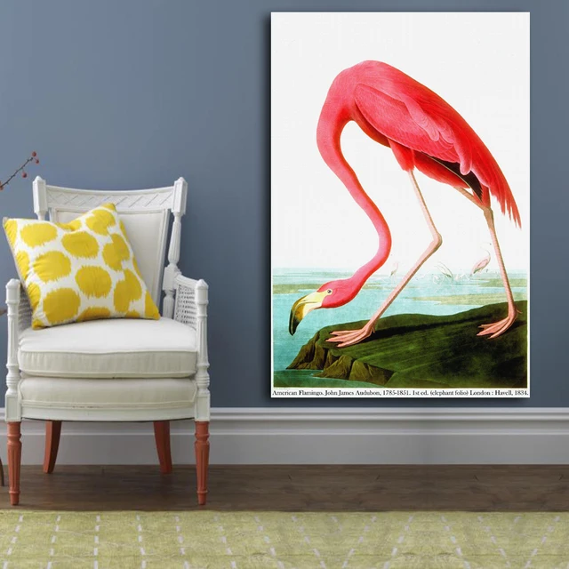 Online American Flamingo By John James Audubon Print Original American Flamingo By John James Audubon Print Original Huge Poster For Wall Decor On Canvas